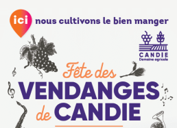 sans-titre-4 1 sans-titre-4 1