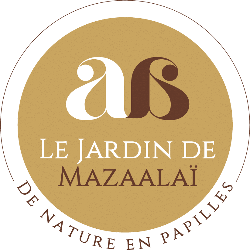 LE JARDIN DE MAZAALAÏ 6