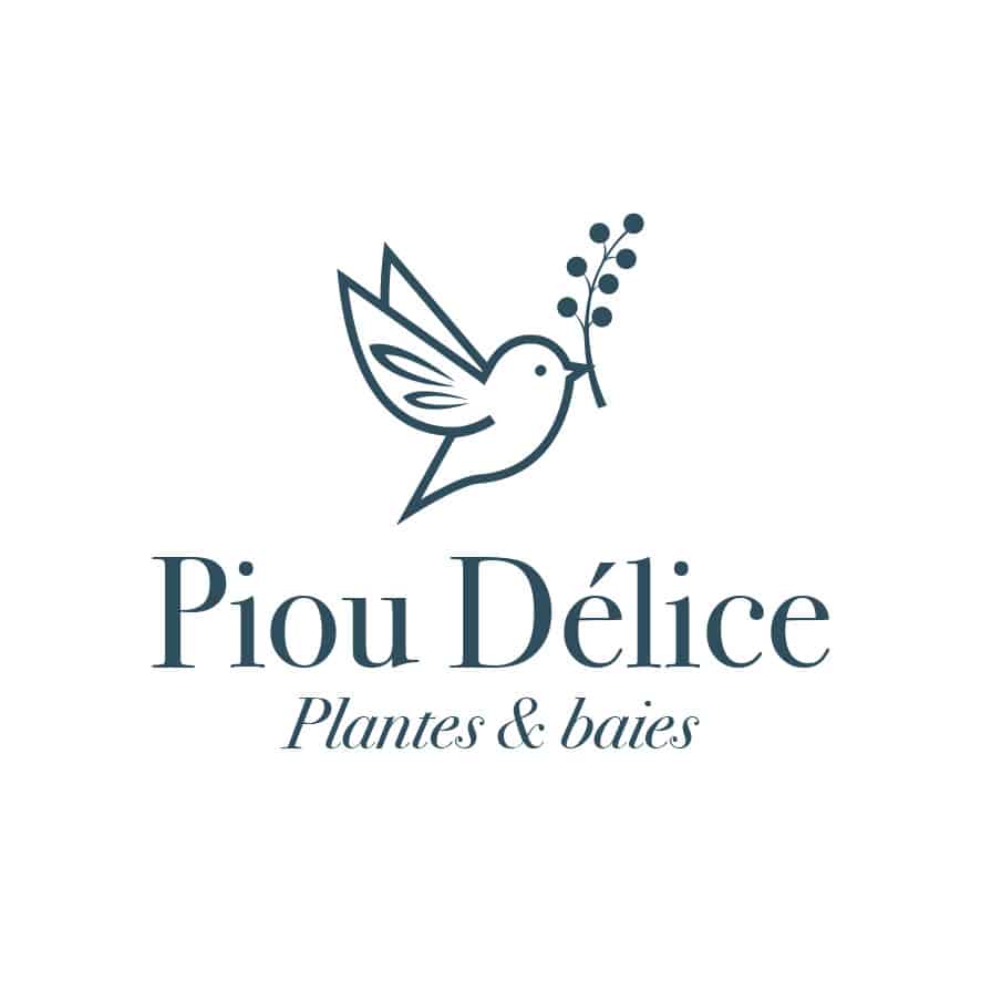 Piou Délice 1